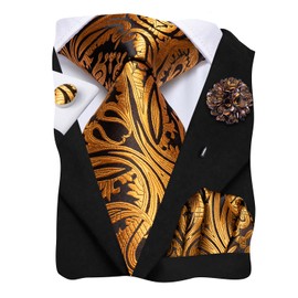 Hi-Tie Mens Tie Lapel Pin Set Pocket Square Cufflinks Woven Silk Ties for Men Wedding Formal,Black Gold Paisley