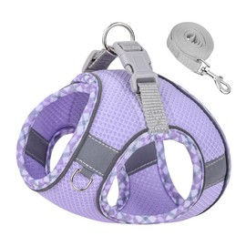 Arnés para Perro y Gato - Máxima protección y Comodidad para tu Mascota en Todo Momento,con Bono de Correa de 1.5 Metros (Morado, XS)
