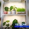 Barrina Grow Lights for Indoor Plants, Full Spectrum Sunlight, 1ft