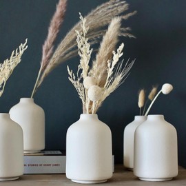 Carrot's Den - Juego de 6 jarrones pequeños de cerámica Blanca para decoración del hogar, jarrones Bohemios para Flores secas + Plantas de casa, Boda, hogar, Centro de Mesa, Moderno, Minimalista