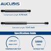 Hood Strut Lift Support Compatible with Nissan Titan 2017-2022, Bonnet