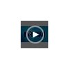Birdman Premium All-In-One Probiotic | Probióticos con 50 Billones de