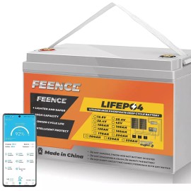 LISUATELI 12V 100Ah LiFePO4 Lithium Battery 15000 Cycle 1280Wh Energy For RV Solar Panel