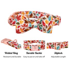 Elegant little tail Dog Collar, Comfortable Dog Collar with Bow Adjustable Soft Bow tie Dog Collars for Small Medium Large Dogs and Cats