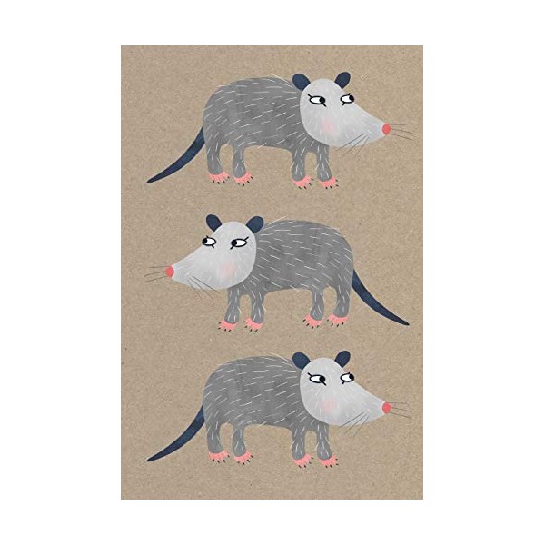 Notes: A Blank Sketchbook with Cute Possum Cover Art