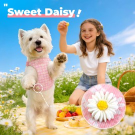 Cute Small Dog Harness and Leash Set Pink Floral Daisy Puppy Harness Vest Adjustable Step in Spring Summer Soft Mesh Sunflower Girl Dog Harnesses for Chihuahua Yorkie Pomeranian Shih Tzu, XXS