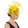 SAFERIN Fascinator Hat Feather Mesh Net Veil Cocktail Tea Party