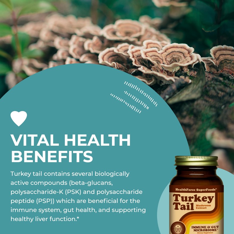 HEALTHFORCE SUPERFOODS Turkey Tail - Capsules - 90 Vegan Capsules