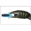 FLASH Union (Flash Union) Lure TG finesuratora-