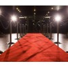 EZLucky Red Carpet Runner for Party, 4X15 ft, 130 GSM