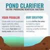 Pond Clear Water Treatment - 16 Pack for 8 Months