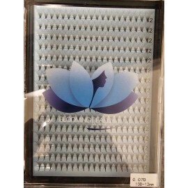Blooming Beauty Xl 0.07D Volume Pre-made Pointy Eyelash Extensions. 10D-12mm 16 rows of 20