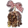 TV's Deli & Diner Gourmet Jumbo Caramel Apple | Caramel,