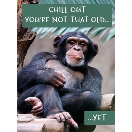 Noel Tatt Male Funny Birthday Card - General Humorous Joke Card for Men - Chill Out - Chimpanzee Not That Old... Yet - Eco-Friendly and Recyclable
