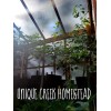 Carolina REAPER Super HOT Pepper Seeds Unique Creek Homestead Certified