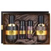 Isa Knox Tervina LX Homme 2-piece special set + Tervina