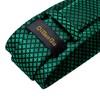 DiBanGu Mens Emerald Green Plaid Tie and Lapel Pin for