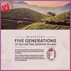 Wissotzky Wildberry Blast Herbal Tea (6 Pack - 120 Tea