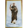 St. Vincent Ferrer prayer cards (pack of 4)