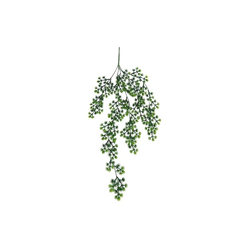 VBS Larch Hanger