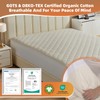 Lofe Organic Cotton Full Mattress Protector - Top&Side 100% Waterproof