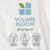 Biolage Volumeboom 1 Litre Shampoo and Conditioner Bundle