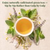 The Republic of Tea - Organic Jasmine Green Tea, 50