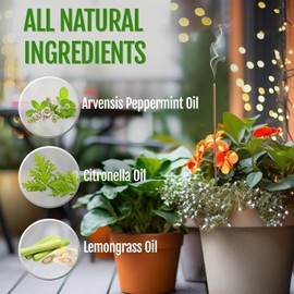 Mintronella Citronella & Peppermint Mosquito Repellent Incense Sticks – 100 Pack – USA‑Made Natural Bug & Insect Repellent – Outdoor Camping, Patio Decor – No‑See‑Um & Gnats, Fly