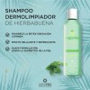 Shampoo Dermolimpiador De Hierbabuena Aspid Aspidpro 120ml