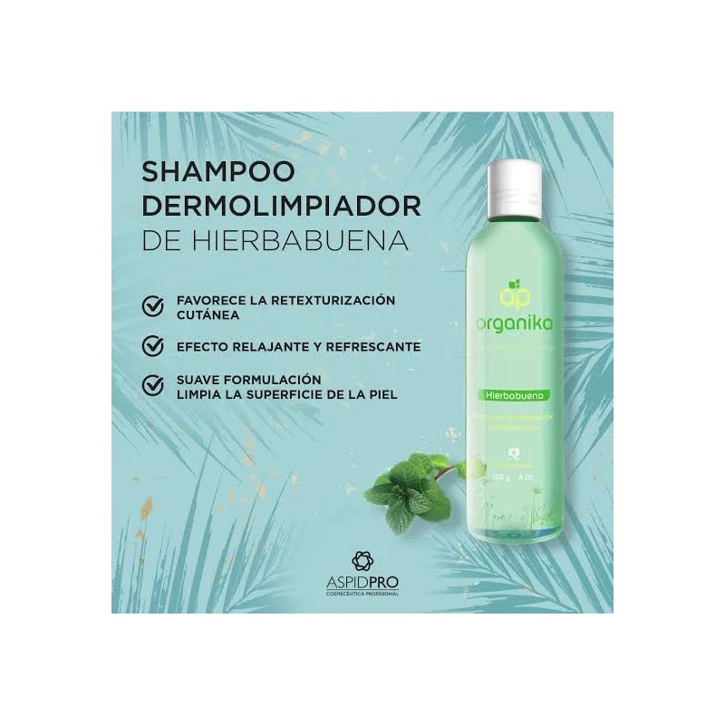 Shampoo Dermolimpiador De Hierbabuena Aspid Aspidpro 120ml