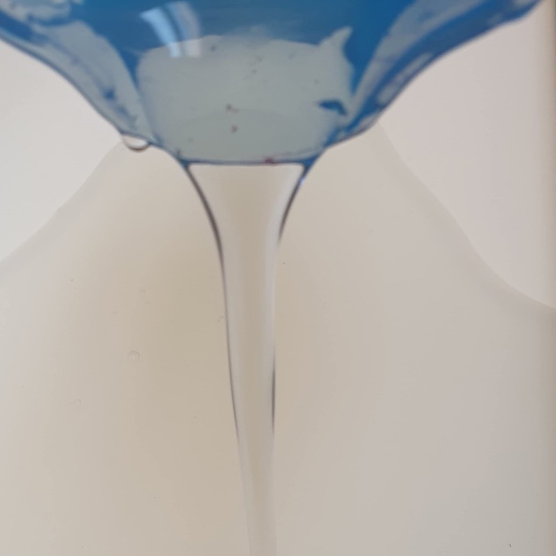 Ahsen Ebru 250 g Carrageen Kerajin Deniz Kadayifi Kivam artirici