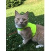 Mynwood Cat Jacket/Harness High Viz Adult Cat