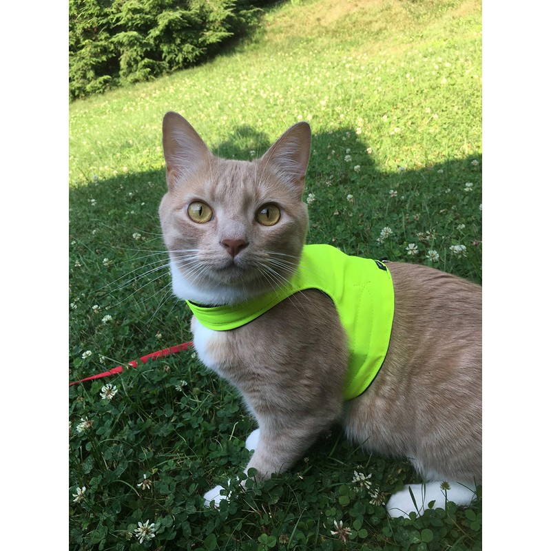 Mynwood Cat Jacket/Harness High Viz Adult Cat