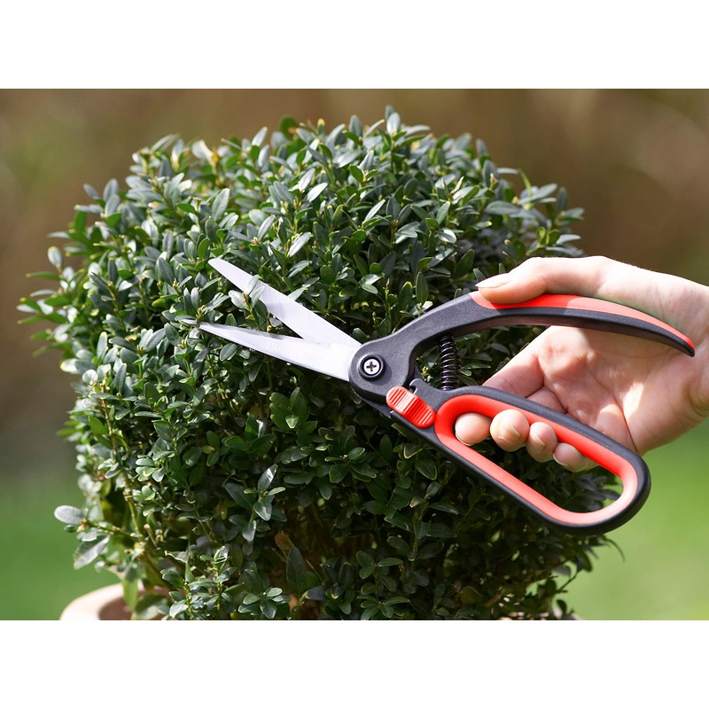 Meister Buchsbaumschere 9719400