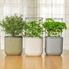 Vego garden Vego Garden Mini Planter Indoor Pots with Trellis