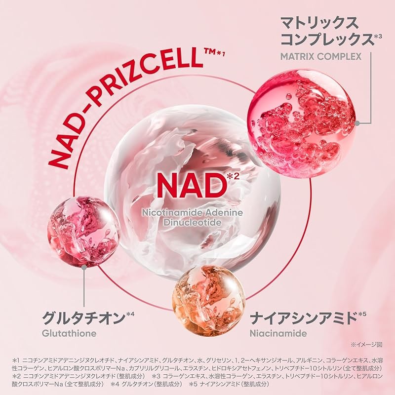 BIO HEAL BOH 바이오힐보 NAD 프리즈셀 글로우 부스트 크림 50ml