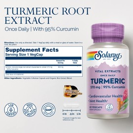SOLARAY SOLARAY Turmeric Root Extract 600mg | One Daily | Healthy Joints, Cardiovascular System Support | Guaranteed Potency | 60 VegCaps