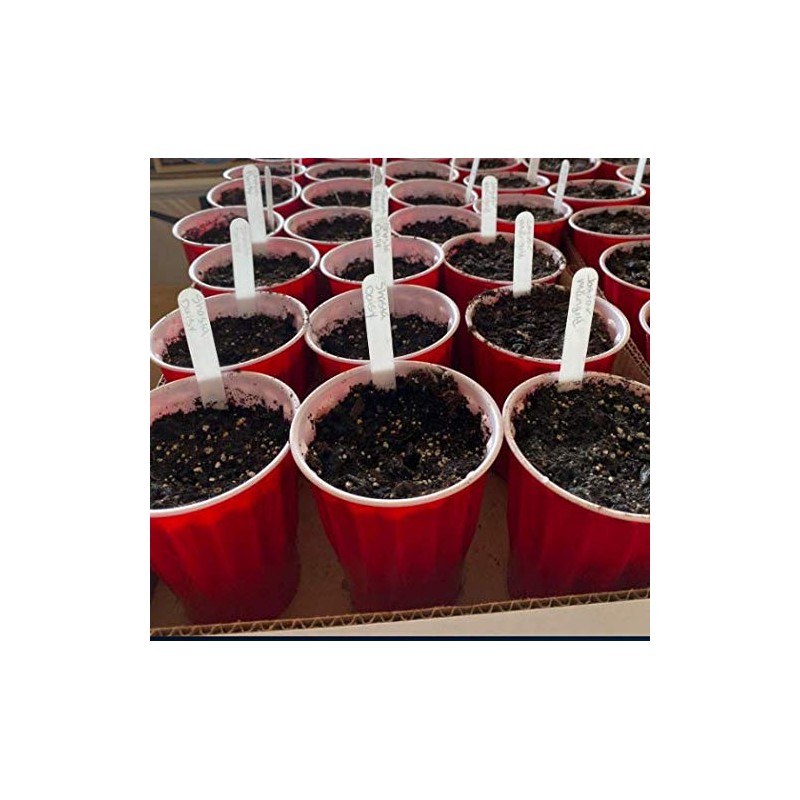 Delatanus 6 Inch Plant Markers, White - 100pcs