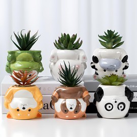 ETAKISH Succulent Planters - Cute Animal Succulent Pots with Drainage (Set of 6) - Dog Bunny Panda Koala Cow Frog - Small Planter Pot Flower Pot for Indoor Outdoor Decor, Indoor Planter, Garden Gifts