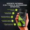 Probióticos Prebióticos Postbiótico Billones Ufc Fórmula Cepas Apoyo Digestivo Equilibrio