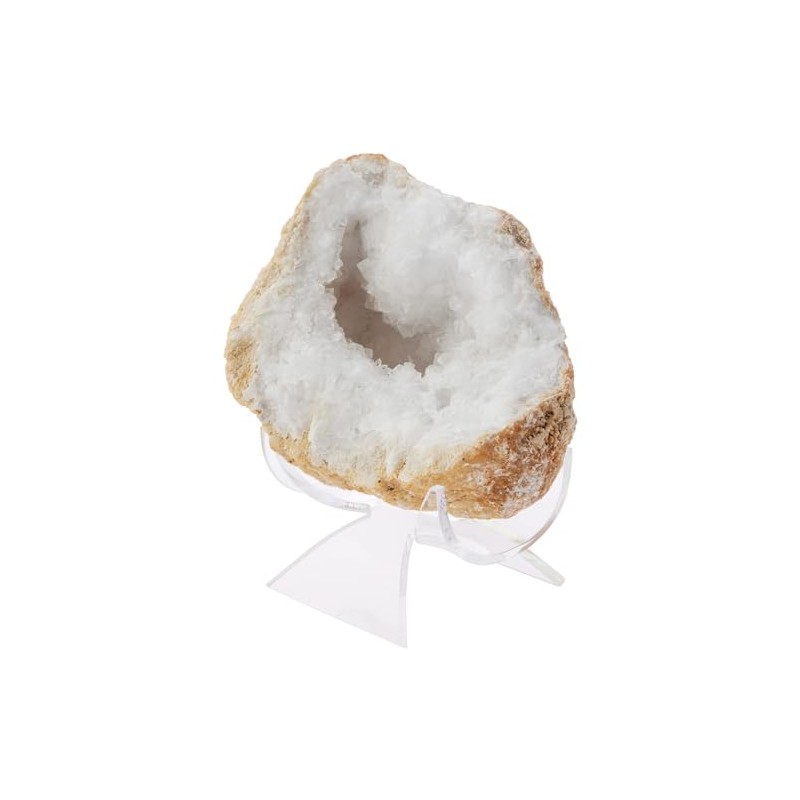 Plymor Clear Acrylic Fossil, Mineral or Crystal Display Holder Stand,