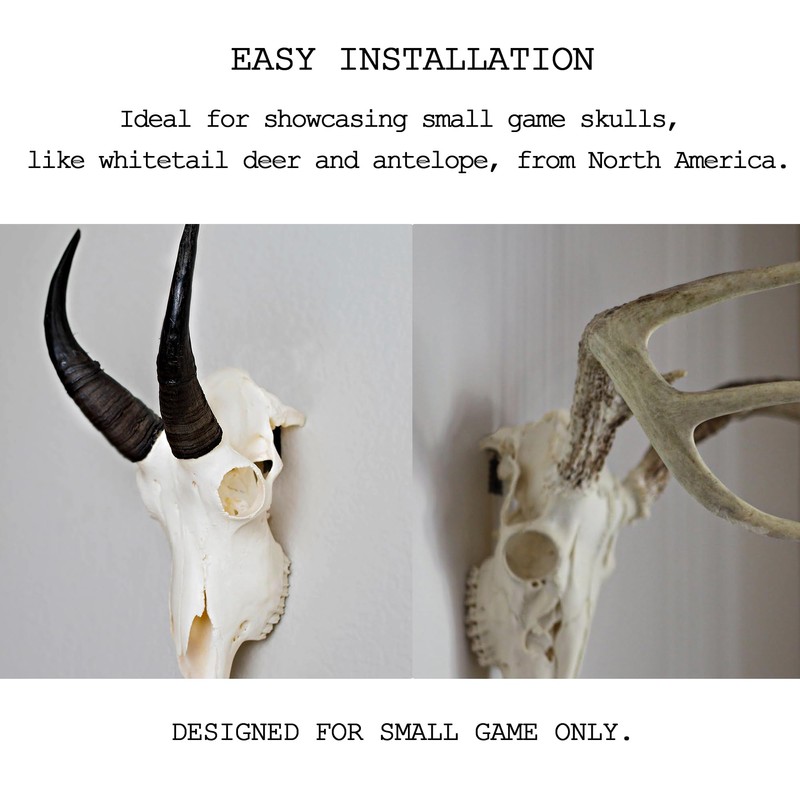 VMSIXVM European Deer Skull Mount Hanger, Euro Wall Mount Hanger