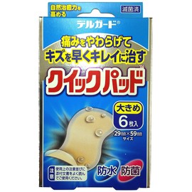 阿蘇製薬 デルガード クイックパッド 大きめサイズ 6枚