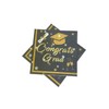 Black Graduation Party Decorations 2024 Disposable Graduation Napkins set Class