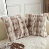 Mandioo Pack of 2 Thick Plush Wool Decorative Throw Pillow
