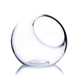 WGV 6" Clear Glass Vase Slant Cut Tilted Bubble Bowl, Plant Terrarium, Floral Arrangement, Wedding Center Piece, Home Décor, Flower Container