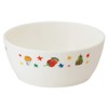 Skater XP14 Dishwasher-Safe Bowl, 11.2 fl oz (330 ml), Fruit,