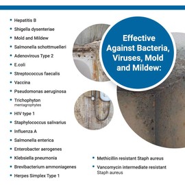 Total Solutions Lemocide | Professional Disinfecting Mildew, Virus & Mold Killer - Cleans & Deodorizes, Lemon Scent (1 Gallon Super Concentrate)