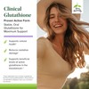 Terry Naturally Terry Naturally Clinical Glutathione - Antioxidant Supplement for