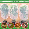 6 Pack Bird Netting for Garden Protection - 3.3x5FT Size